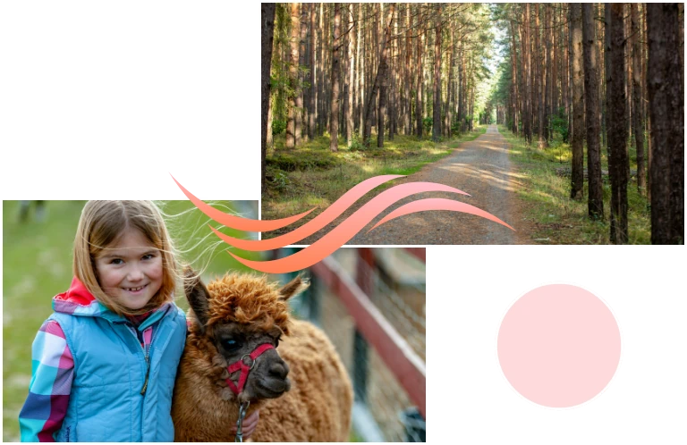 Zdjęcie dziecka oraz lasu